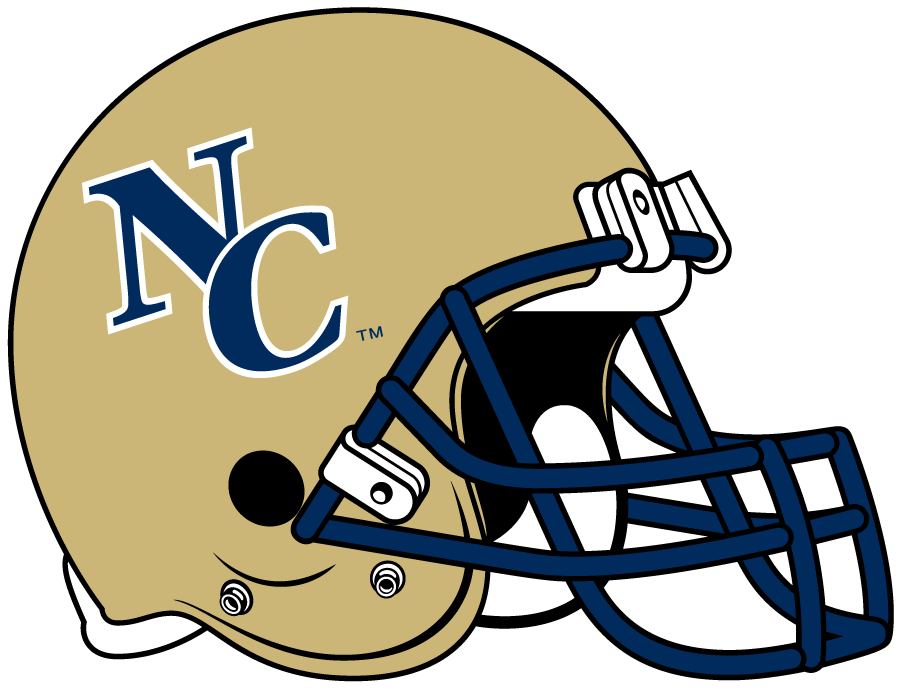 Northern Colorado Bears 2008-2009 Helmet Logo diy iron on heat transfer